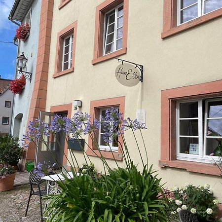 Haus Ella Apartment Stuhlingen Exterior photo